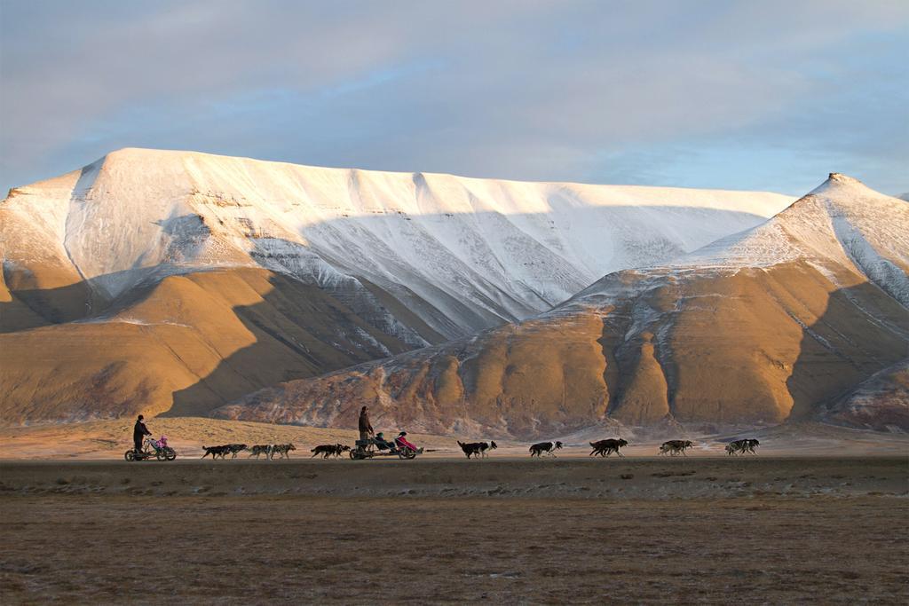 Coal Miners' Cabins Vandrarhem Longyearbyen Exteriör bild